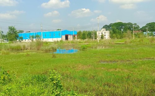 ৪২ কোটি টাকার চুয়াডাঙ্গা বিসিক শিল্পনগরী এখন পরিত্যক্ত জঙ্গল