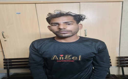 চুয়াডাঙ্গা-আলমডাঙ্গা সড়কে গাছ ফেলে ডাকাতি