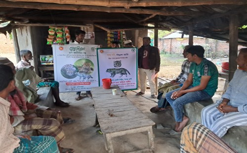 জীবননগরে মেছো বিড়াল সংরক্ষণে সচেতনতামূলক প্রচারণা