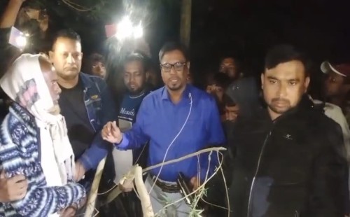 হরিণাকুণ্ডুতে গাঁজা গাছসহ একজন আটক