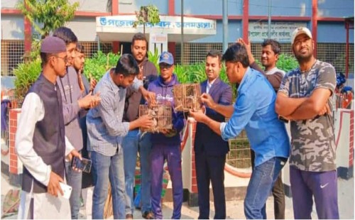 আলমডাঙ্গা উপজেলা পরিষদ প্রাঙ্গণে ১৮টি ঘুঘু পাখি অবমুক্ত