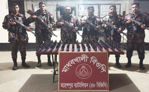 জীবননগর ও মহেশপুর সীমান্তে বিজিবির অভিযান