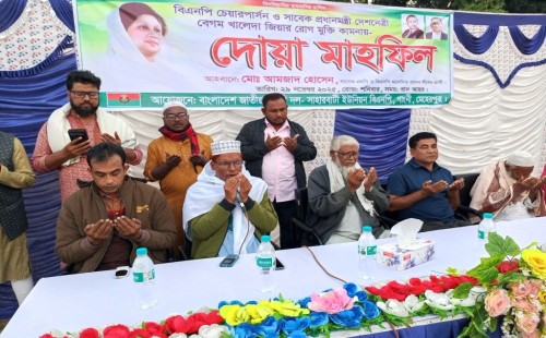 আলমডাঙ্গার ভাংবাড়ীয়া ও মেহেরপুরের গাংনীতে বিএনপির পৃথক আয়োজন