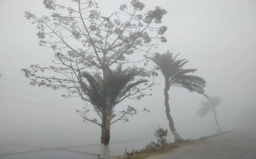 চুয়াডাঙ্গায় হাড়কাঁপানো শীত, ৯ দশমিক ৬ ডিগ্রিতে জনজীবন বিপর্যস্ত