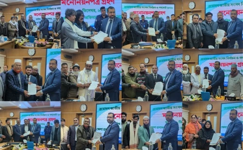 মেহেরপুরে বিএনপির ৩ বিদ্রোহীসহ ১২ প্রার্থীর মনোনয়ন জমা
