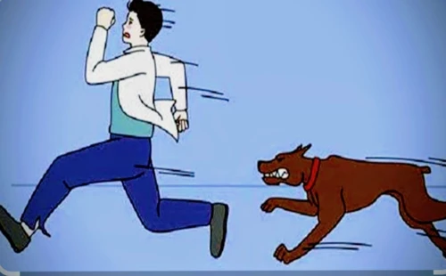 আলমডাঙ্গায় বেওয়ারিশ কুকুরের আতঙ্ক
