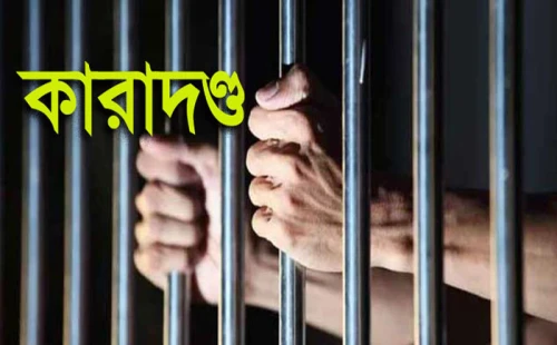 দামুড়হুদায় মারপিট মামলায় তিনজনের কারাদণ্ড