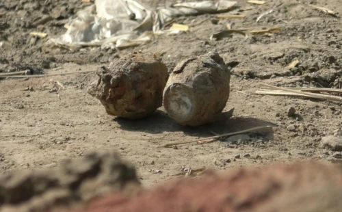 ঝিনাইদহে দুটি অবিস্ফোরিত গ্রেনেড উদ্ধার