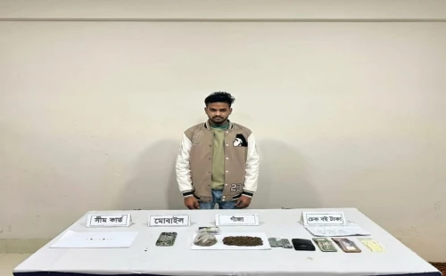 গাংনীতে গাঁজা ও জুয়ার সিমসহ যুবক আটক