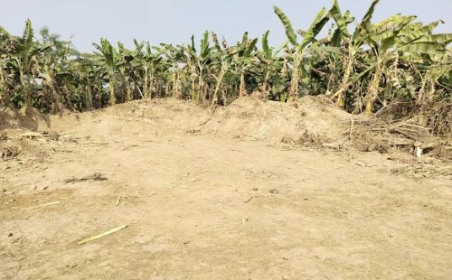 দর্শনায় মাটি কেটে নেওয়ার ঘটনায় থানায় অভিযোগ