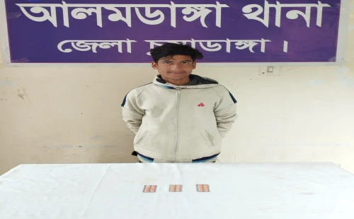আলমডাঙ্গায় টাপেন্টাডল বড়ি ও গাঁজাসহ তিনজন গ্রেপ্তার