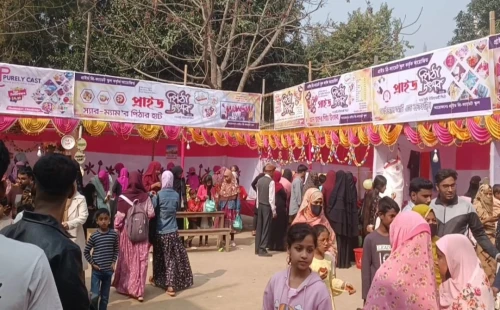 জীবননগরে প্রাইড প্রি-ক্যাডেট স্কুলে পিঠা উৎসব