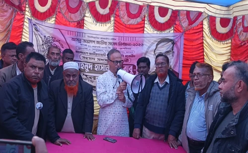 জীবননগরের বিভিন্ন স্থানে পথসভায় বিএনপির প্রার্থী বাবু খান