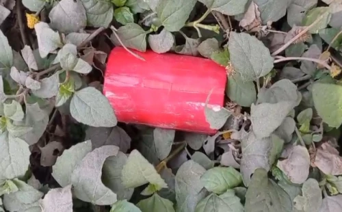 মুজিবনগরে বিএনপি কার্যালয়ের সামনে ককটেল সদৃশ বস্তু উদ্ধার