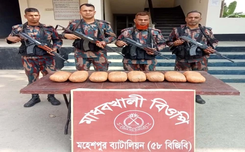 জীবননগরে বিজিবির অভিযানে ৮ কেজি গাঁজা উদ্ধার