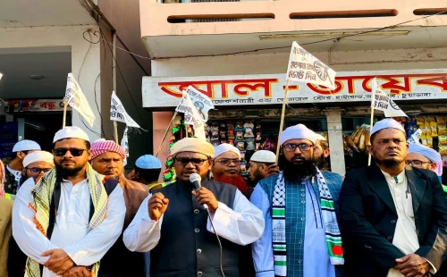 আলমডাঙ্গায় হাতপাখা প্রতীকের পক্ষে গণসংযোগ