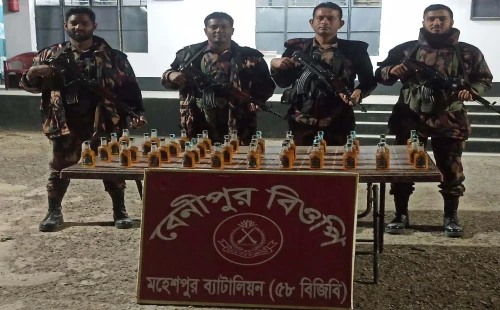 জীবননগর ও মহেশপুর সীমান্তে বিজিবির অভিযান