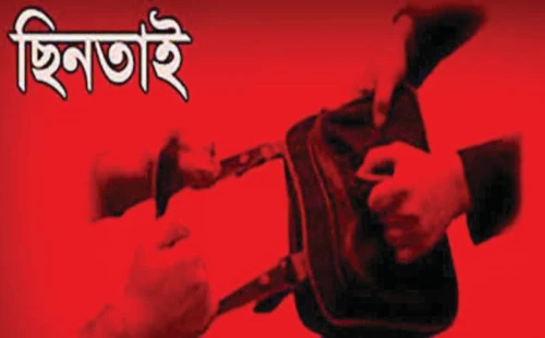 আলমডাঙ্গায় বিক্রয় প্রতিনিধির টাকা ছিনতাই