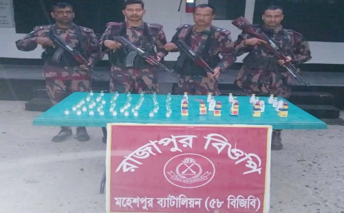 জীবননগর ও মহেশপুর সীমান্তে বিজিবির অভিযান