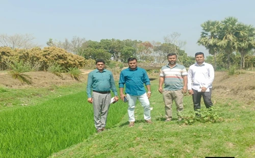 জীবননগরে খাল খনন ও পুনঃখনন কার্যক্রম চালু করতে গুরুত্বপূর্ণ খাল পরিদর্শন করলেন ইউএনও