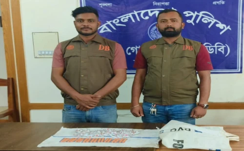 দামুড়হুদায় ডিবির অভিযানে ট্যাপেন্টাডল ও প্যাথেড্রিন উদ্ধার