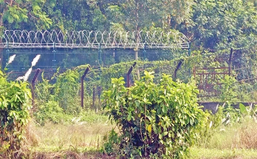 ভারতে চাকরির প্রলোভন দেখিয়ে মহেশপুর সীমান্তে দুই নারীকে পালাক্রমে ধর্ষণ