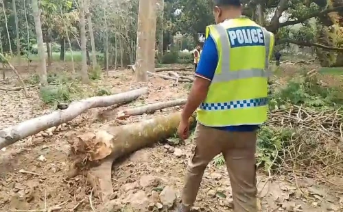 দামুড়হুদায় মাজারের জমিতে গাছ কাটার অভিযোগে আটক ৪