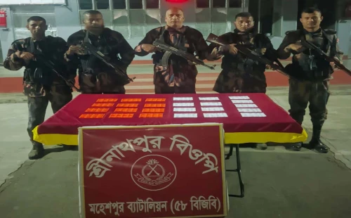 জীবননগর ও মহেশপুর সীমান্তে বিজিবির অভিযান