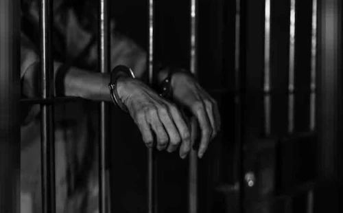 দামুড়হুদায় গাছ চুরির মামলায় চার আসামি কারাগারে