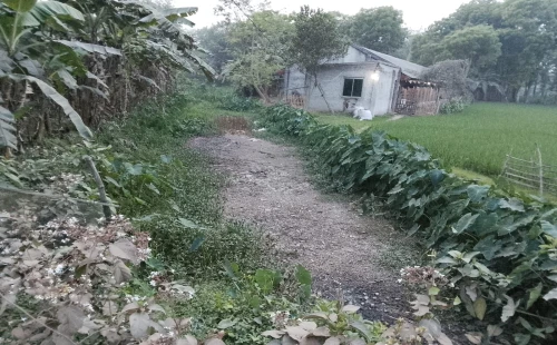 আলমডাঙ্গার ডামোশ-ঘোলদাড়ি খাল পুনঃখননের অনুমোদন