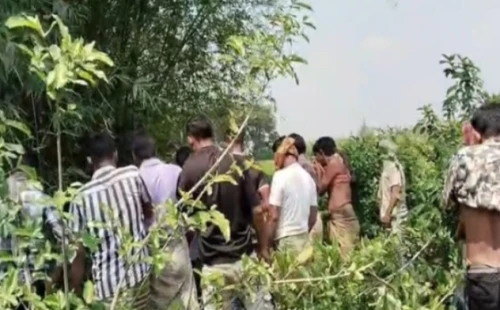মেহেরপুরে অজ্ঞাত ব্যক্তির অর্ধগলিত মরদেহ উদ্ধার