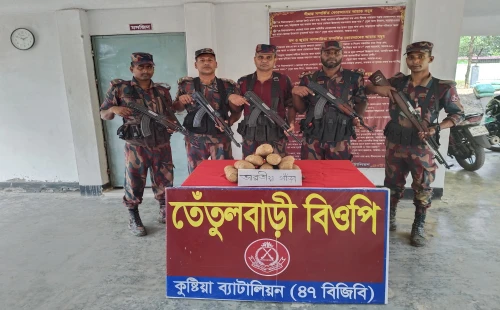 গাংনীতে গাঁজা ও ফেনসিডিল উদ্ধার