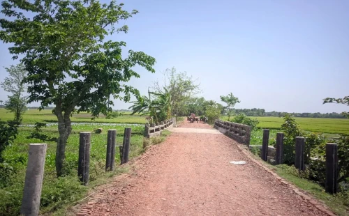হরিশ্চন্দ্রপুর-কুড়ুলগাছি সড়কের কাজ বন্ধ রেখে ঠিকাদার উধাও