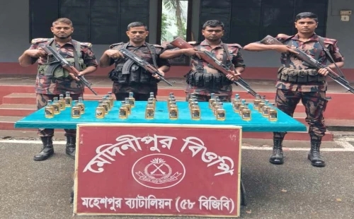 জীবননগর ও মহেশপুর সীমান্তে বিজিবির পৃথক অভিযান