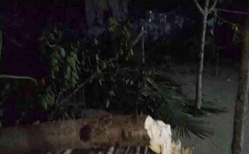 চুয়াডাঙ্গার তেঘরীতে প্রবাসীর বাড়িতে হামলার অভিযোগ