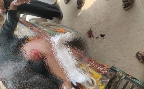 জীবননগরে পিকআপ-ভ্যান সংঘর্ষে আহত নারীর মৃত্যু