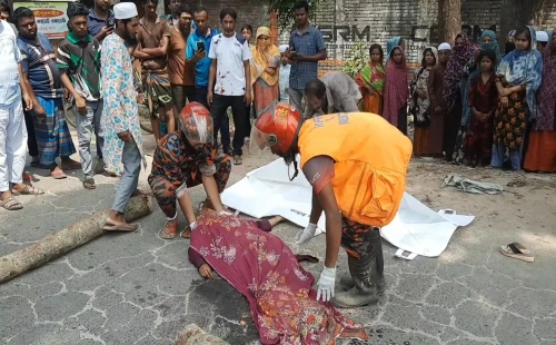 ঝিনাইদহে ট্রাকচাপায় নারী নিহত