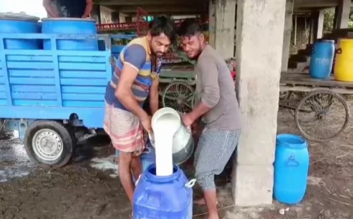 আলমডাঙ্গায় সন্ধ্যা ৭টায় দোকান বন্ধ, বিপাকে দুধ খামারিরা