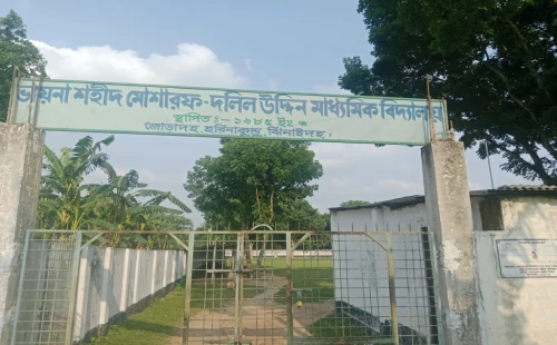 হরিণাকুণ্ডুতে প্রধান শিক্ষিকার পিটুনিতে ছাত্রী আহত