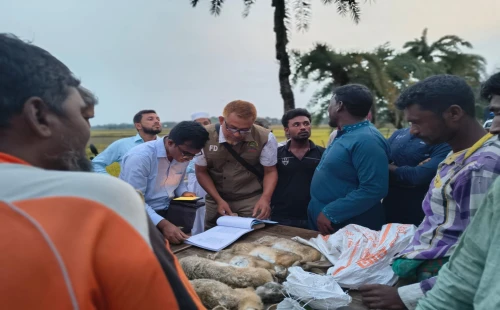 চুয়াডাঙ্গার তিতুদহে বন্য খরগোশ শিকার ও হত্যা