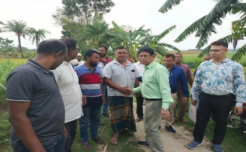 দর্শনা কেরু চিনিকলে আঁখের ফলন বৃদ্ধিতে পোকা দমন ক্যাম্পেইনের উদ্বোধন
