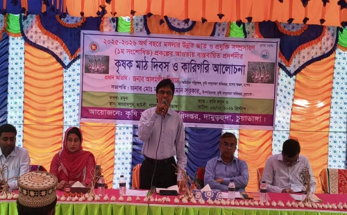 দামুড়হুদায় বারি রসুন-৩ চাষের ওপর মাঠ দিবস