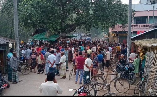 কার্পাসডাঙ্গায় ধান কাটার শ্রমিক সংকটে বিপাকে কৃষক