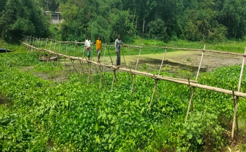 মহেশপুরে জরাজীর্ণ সাঁকো দিয়ে ইছামতী পারাপার
