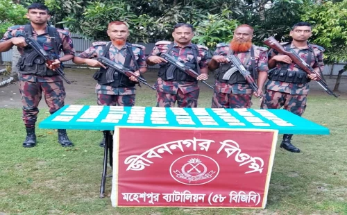 জীবননগরে বিজিবির অভিযানে ভারতীয় ওষুধ উদ্ধার