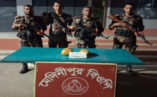 জীবননগর ও মহেশপুর সীমান্তে বিজিবির অভিযান