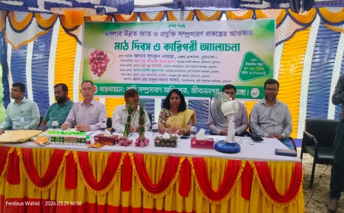 জীবননগরে কৃষক মাঠ দিবস ও কারিগরি আলোচনায় ডিসি লুৎফুন নাহার