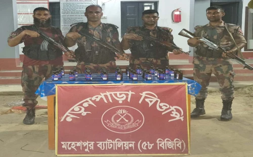 জীবননগর ও মহেশপুর সীমান্তে পৃথক অভিযানে মাদক উদ্ধার, দুই বাংলাদেশি আটক