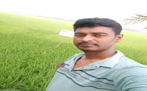 উথলীতে সড়ক দুর্ঘটনায় ইজিবাইক চালকের মৃত্যু