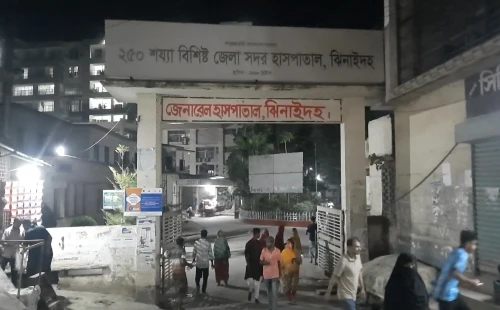 হরিণাকুণ্ডুতে ভ্যান নিয়ন্ত্রণ হারিয়ে খাদে পড়ে চালকের মৃত্যু